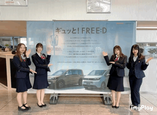 新型FREED♥