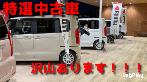 [清水渋川店] NBOX祭り開催