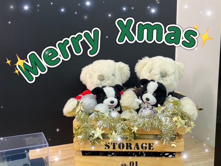 🎄🌟
