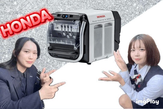 Power Exporter e: 6000