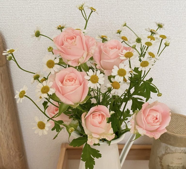 [清閑町店] ピンクなお花♪