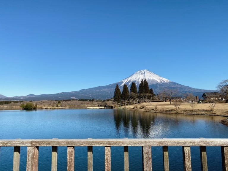 [清閑町店] 富士山！！