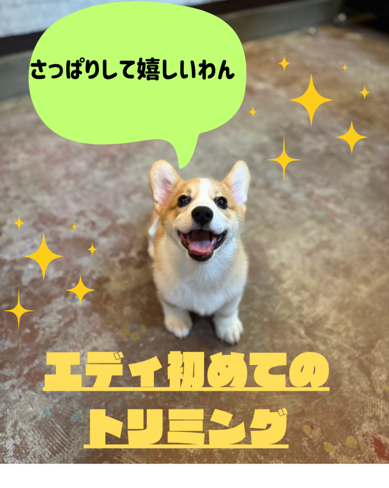 松永エディの日常 vol 1