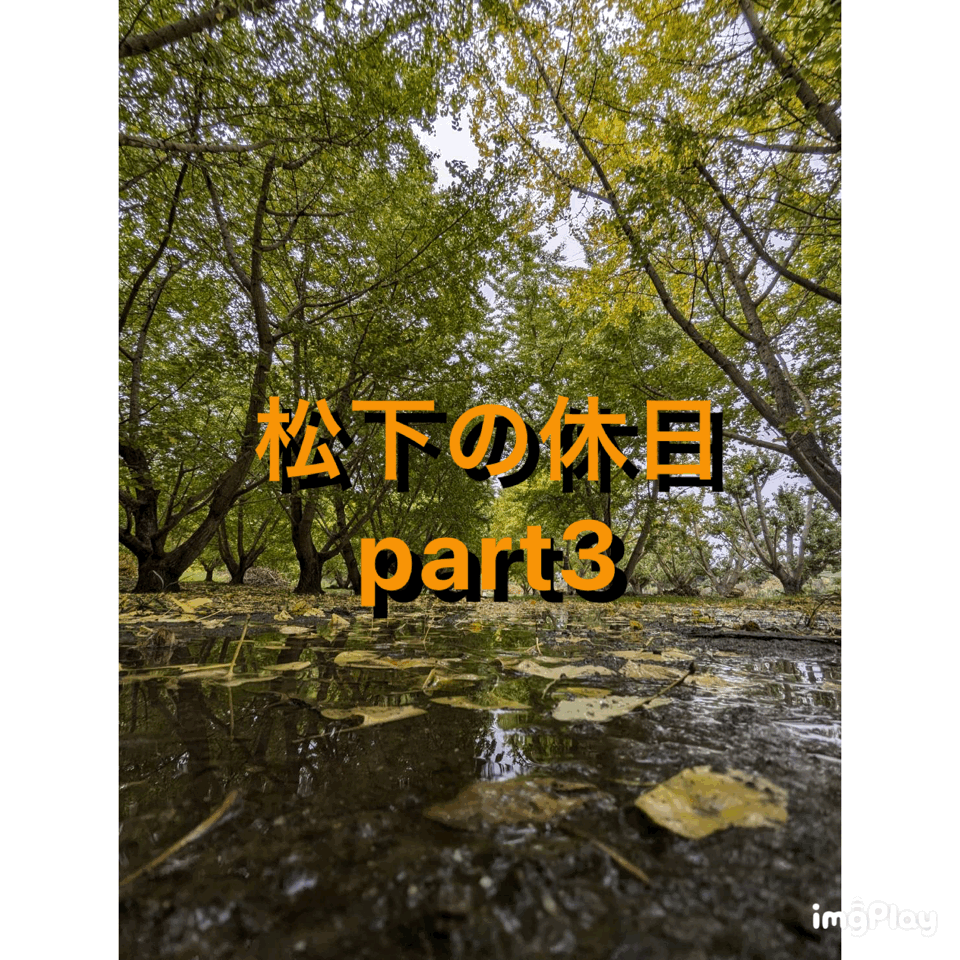松下の休日～遅れましたが秋編です～