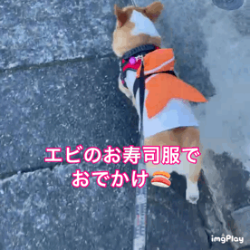 松永エディの日常 vol 3