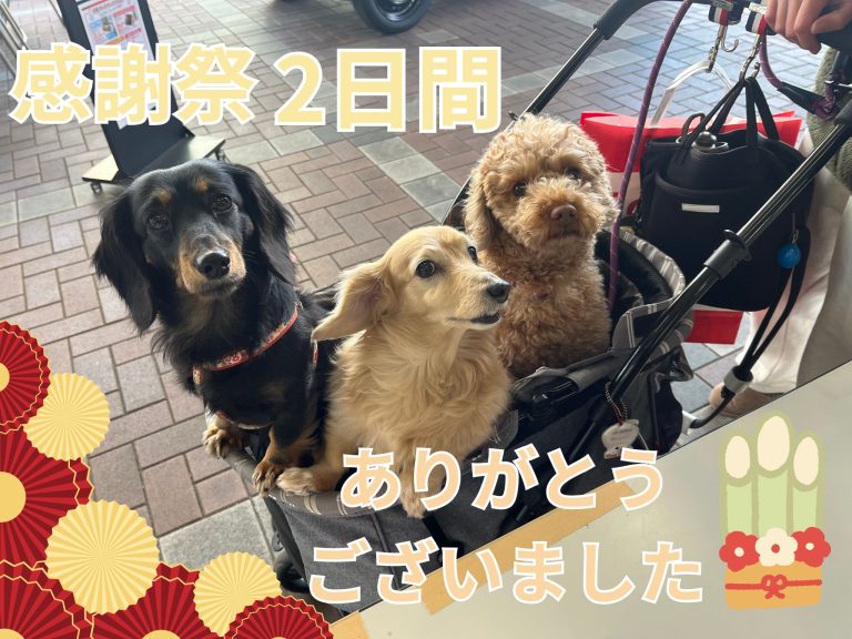 2日間ありがとうございました🙇‍♀️