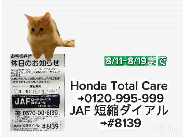 お知らせ📢
