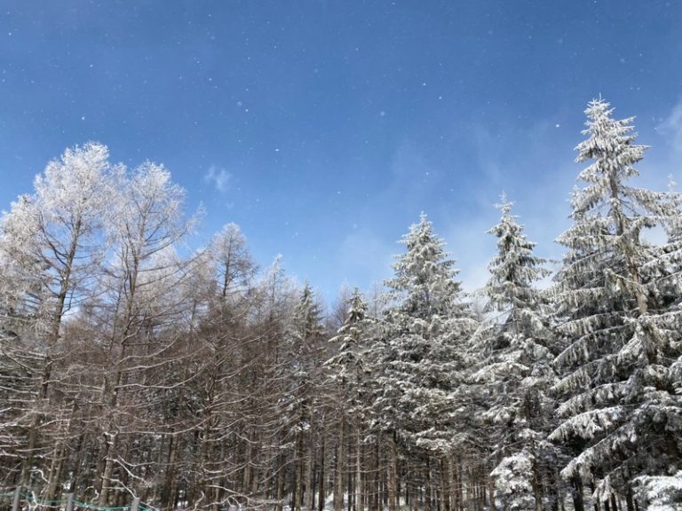 [清閑町店] 冬と言えば雪！！
