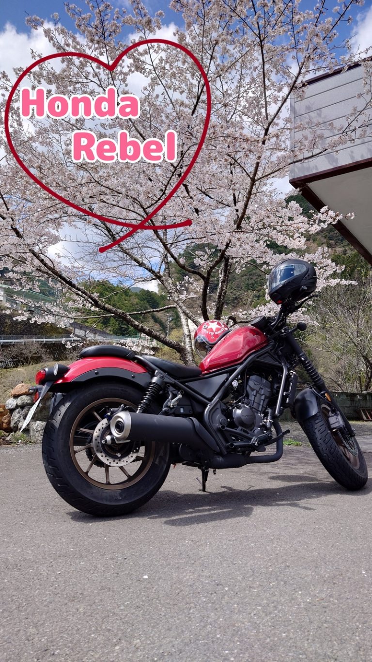 [竜南店] 桜と愛車