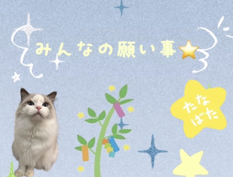七夕の願い事～🎋🌠