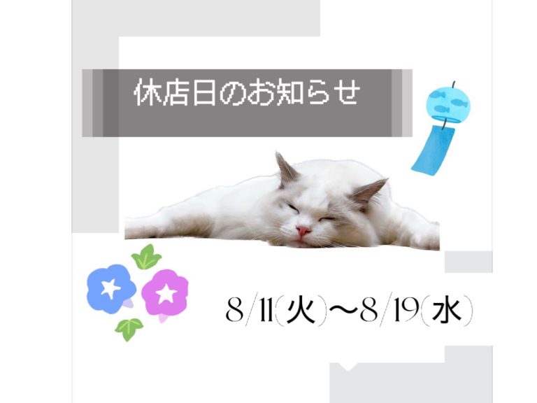 お知らせ🐥