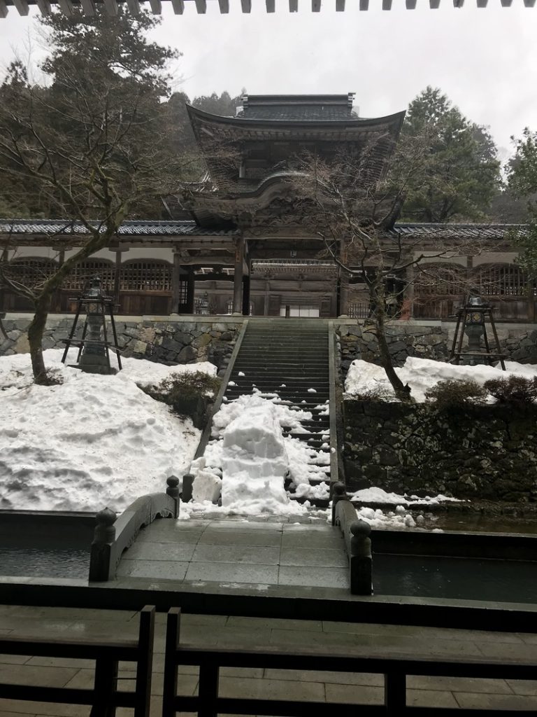 [竜南店] 冬は雪が見たい