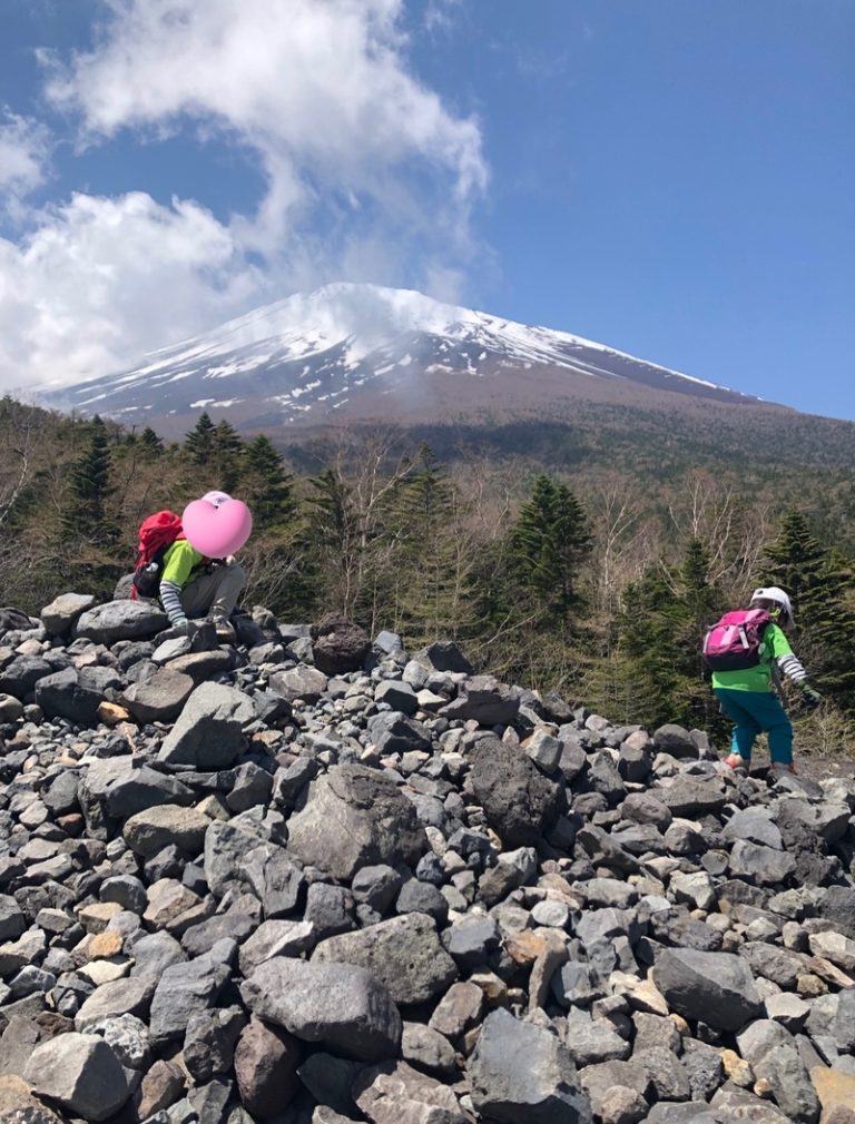 [函南店] My best 富士山 ☆
