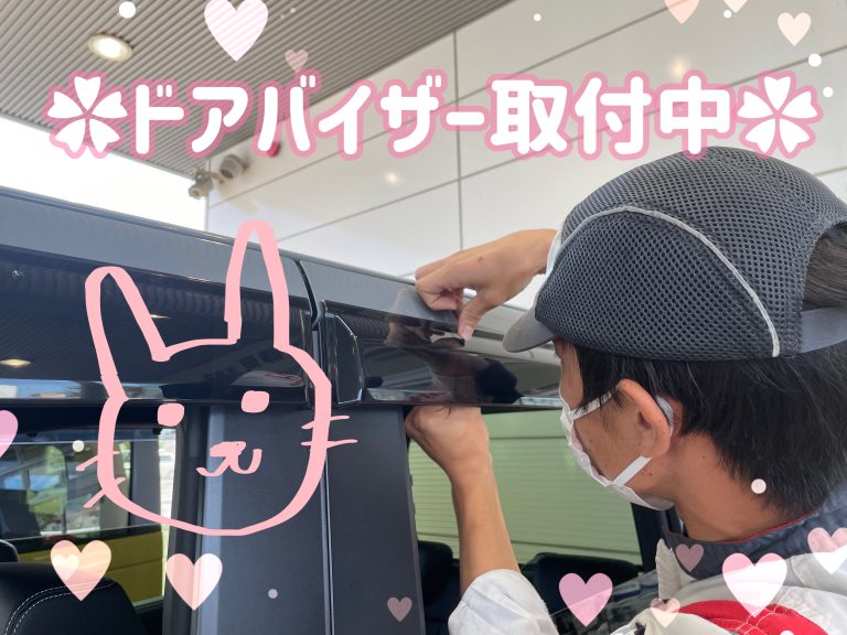 ドアバイザー📸