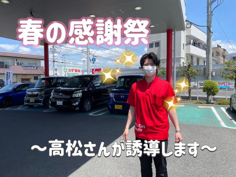 感謝祭してますにゃ😼