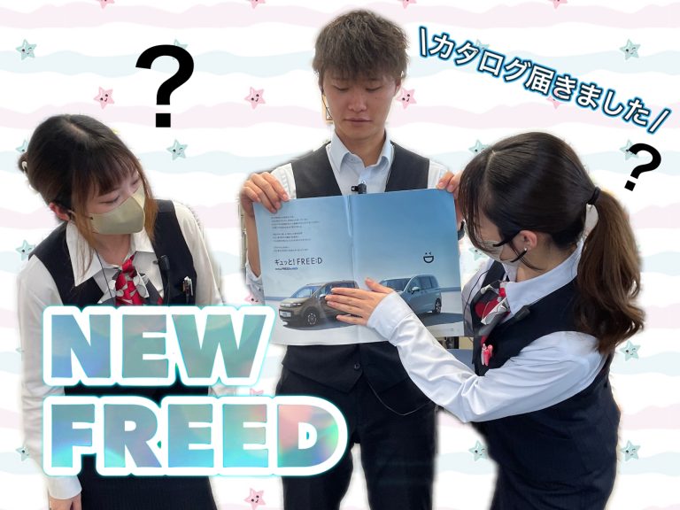 💫新FREED