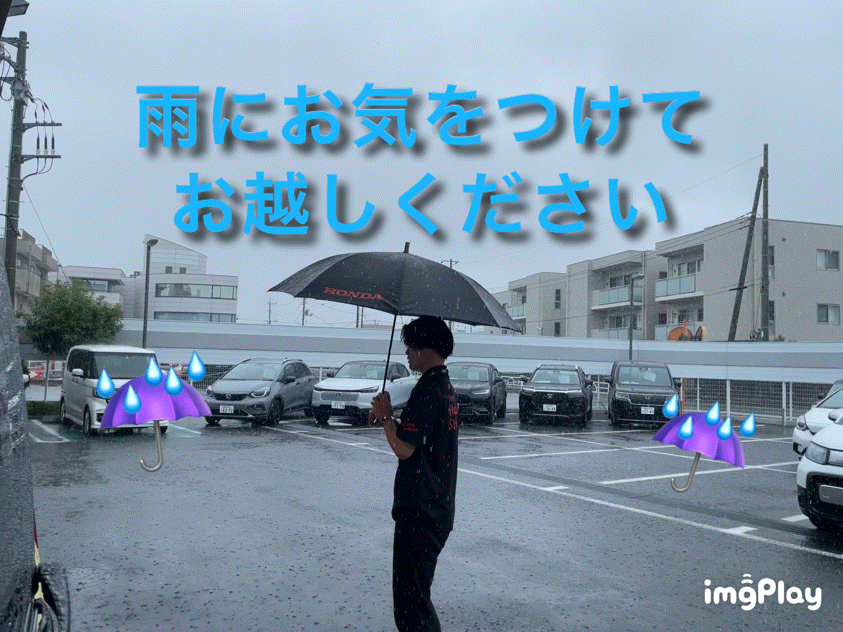 大雨です、、、