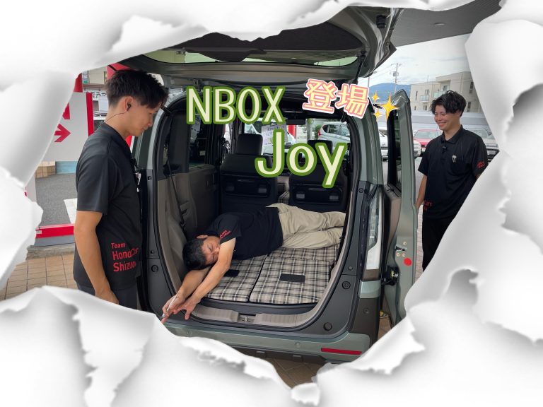 NBOXJOY発売！！！