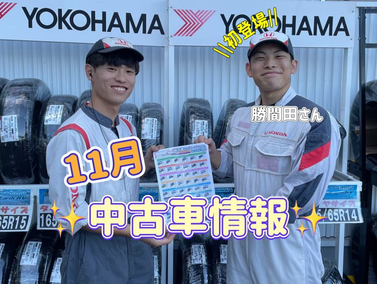 11月の中古車