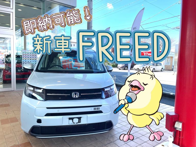 必見🌟即納可能！！
