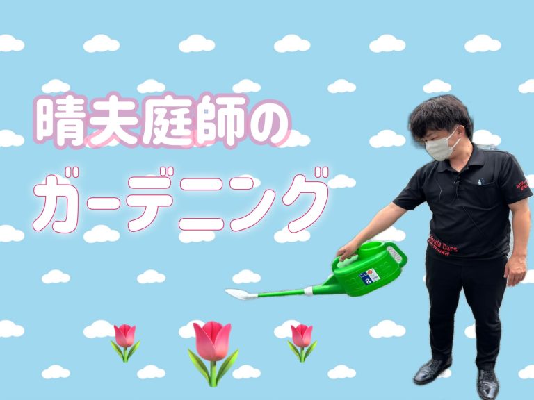 庭師デビュー🌷