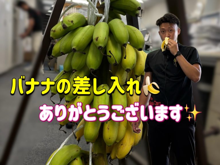 函南店の日常