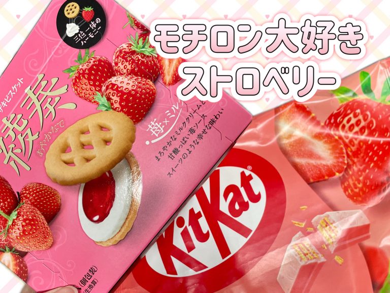 今月のおもてなし