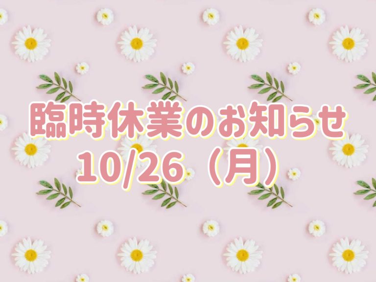 お知らせと日記🐲