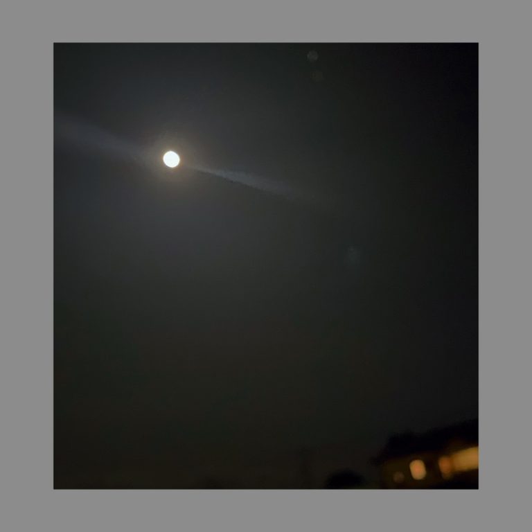 [函南店] お月様🌙：+*。
