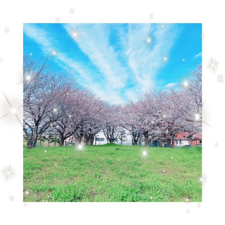 [函南店] 🌸春 散歩🌸