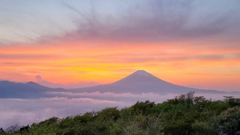 [三島萩店] 富士山☆彡