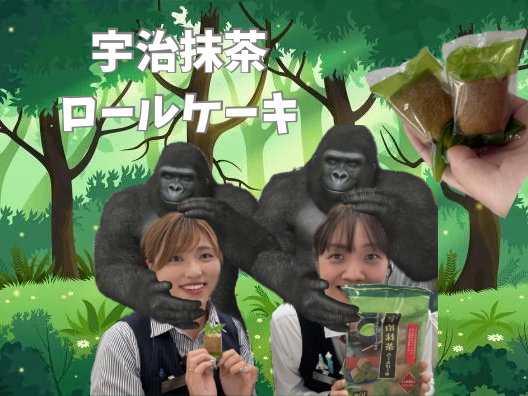 今月のおもてなし🦍🍃