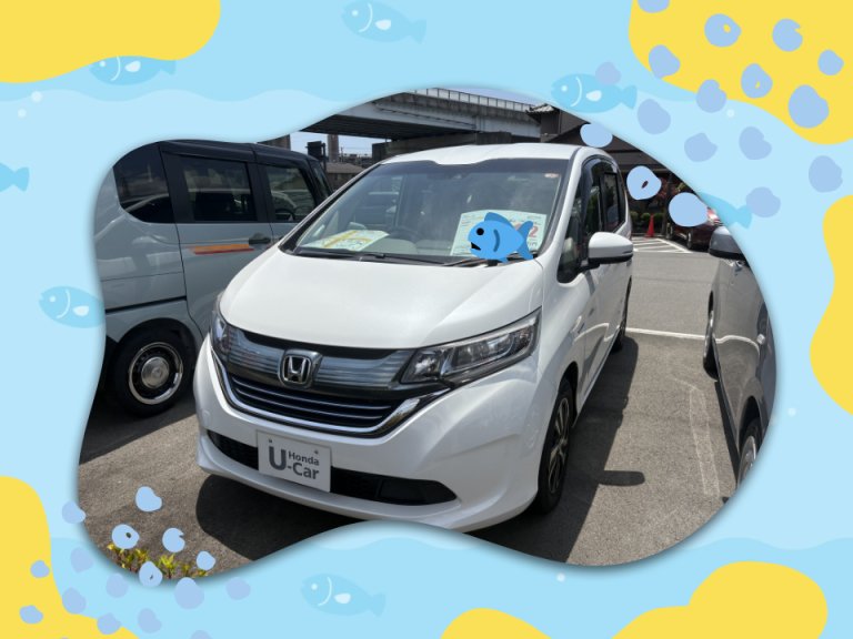 中古車紹介👀