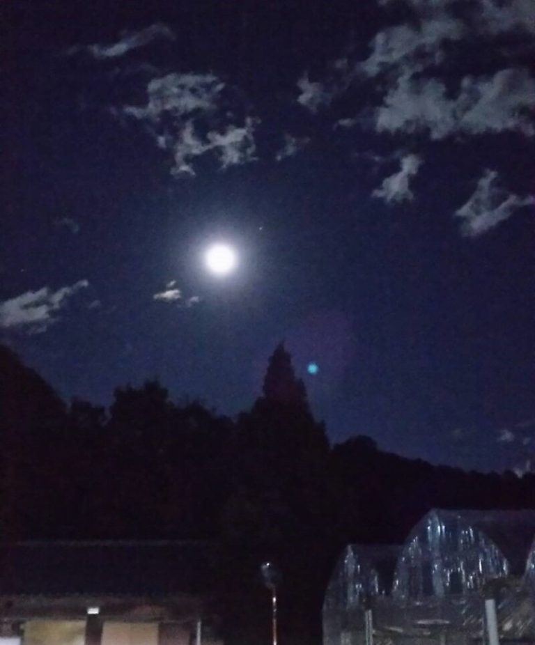 [三島萩店] 月☆彡