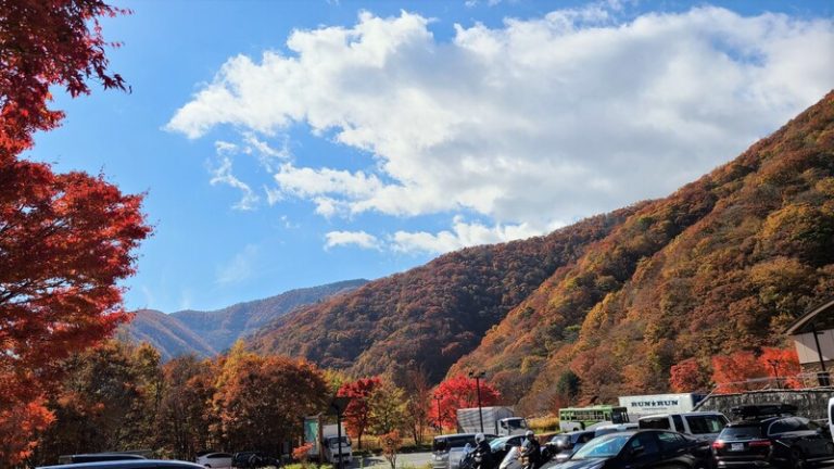 [三島萩店] 秋☆彡