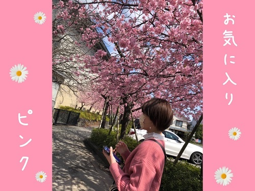 [裾野伊豆島田店] ピンク満載