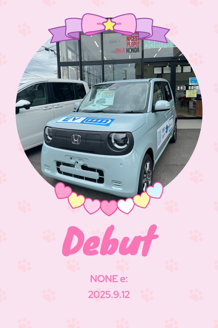 本日debut