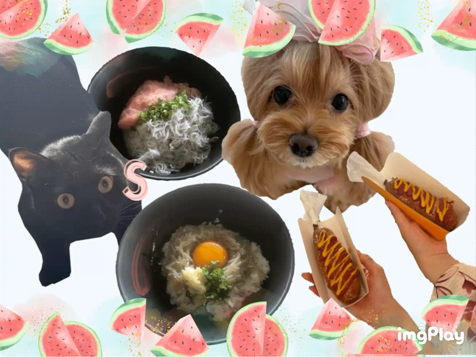夏の思い出🍉