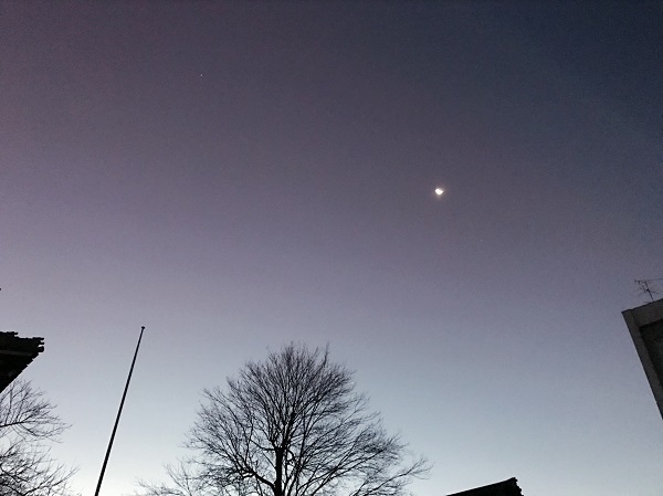 [裾野伊豆島田店] crescent moon