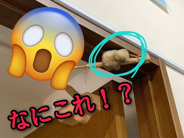 [裾野伊豆島田店] びっくり