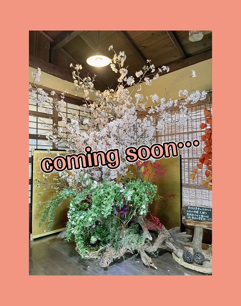 [裾野伊豆島田店] ★告知★