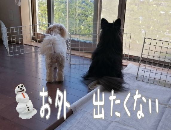 [沼津店] 冬