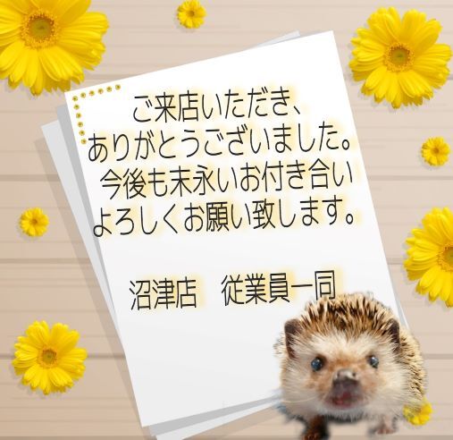 [沼津店] 四日間を終えて