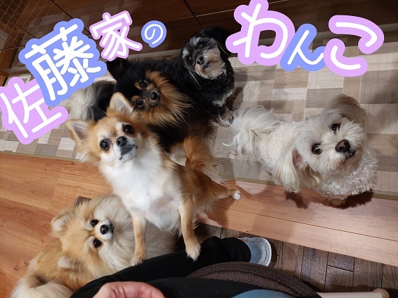 [沼津店] しあわせ空間