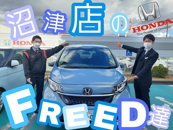 [沼津店] 365FREED