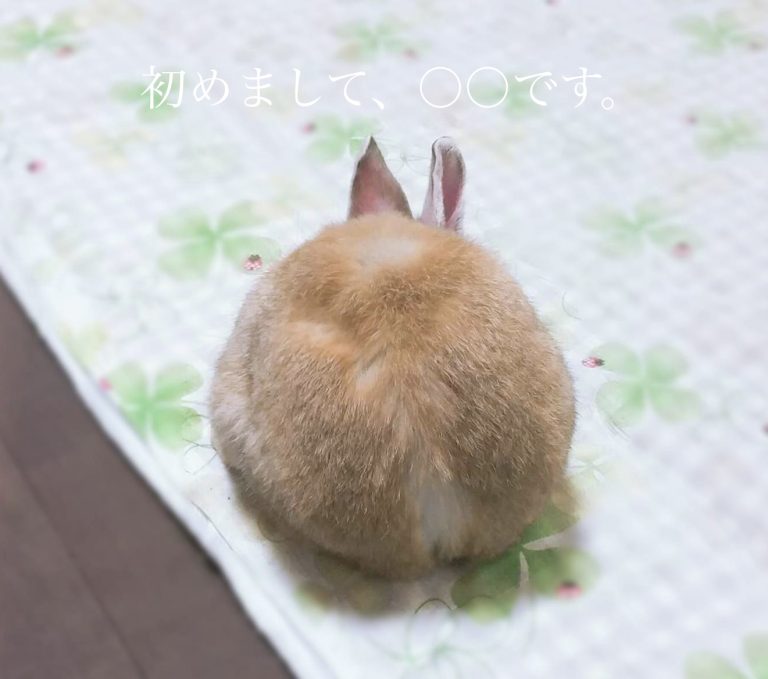 最終日