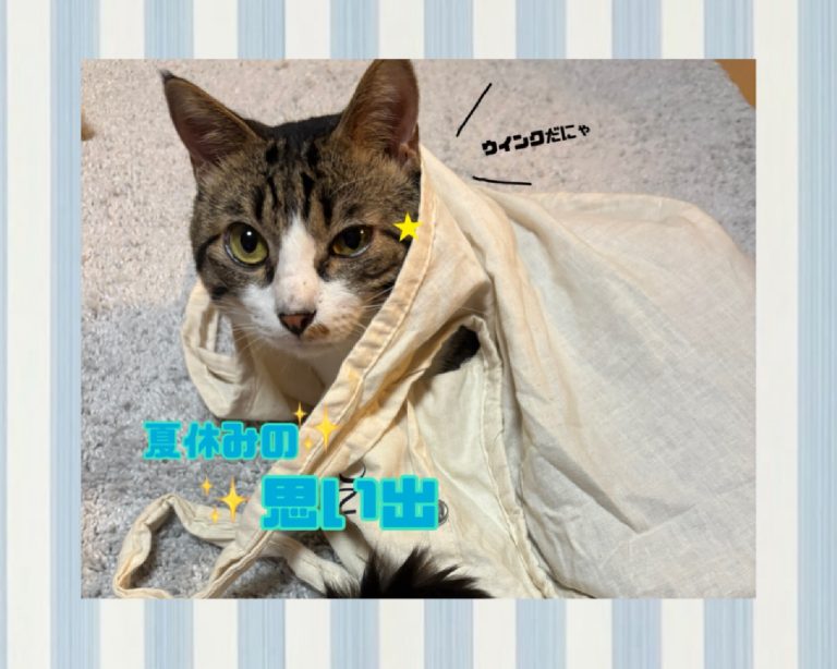 🌻夏休みの思い出🌻