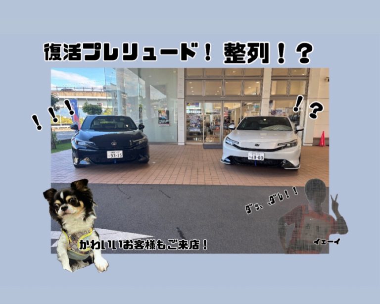 2台のプレリュード✨可愛いお客様もご来店!?