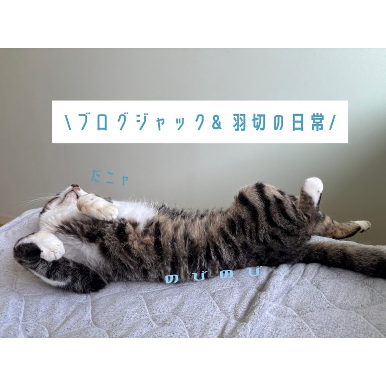 ブログジャック&羽切の日常🪄