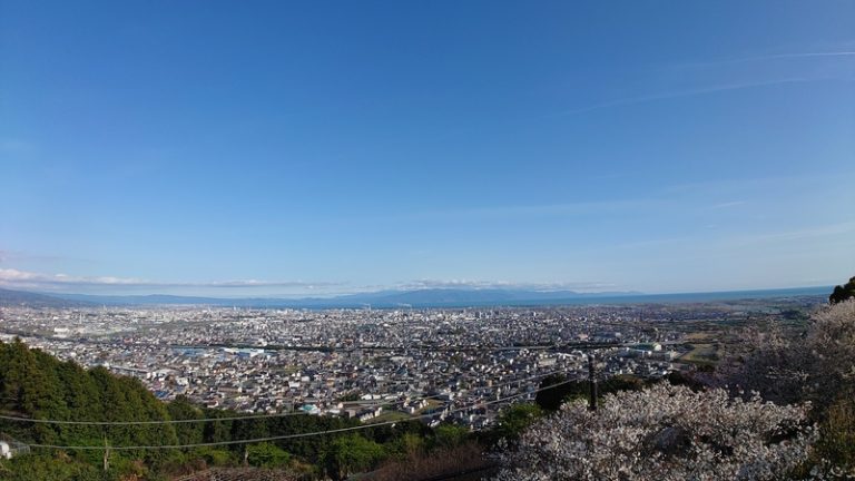 [沼津インター店] 春の楽しみ